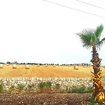 Arilla Con Piscina E Padel * Marina di Ragusa
